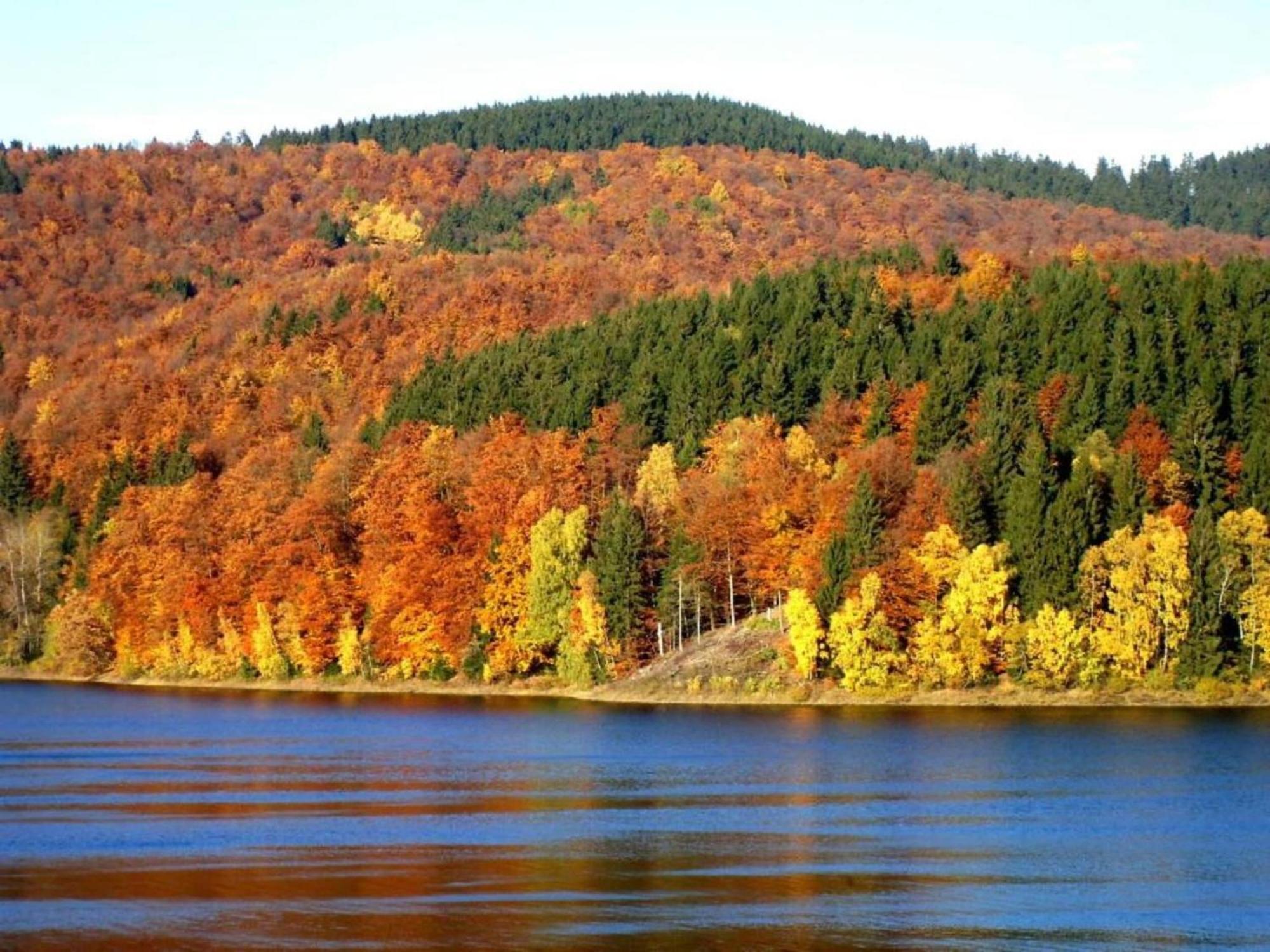 Detached Holiday Residence In The Wonderfully Beautiful Harz Kamschlacken Exteriör bild
