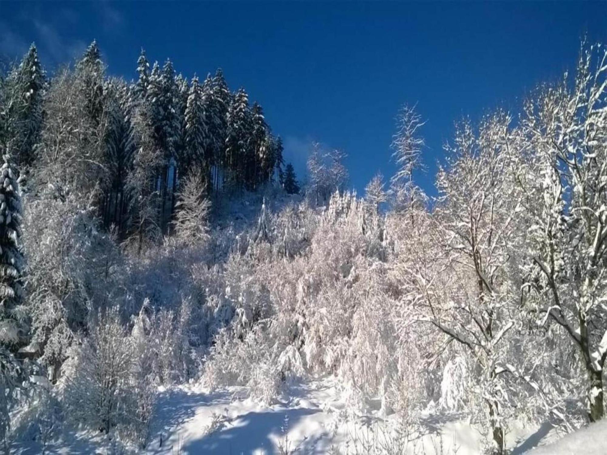 Detached Holiday Residence In The Wonderfully Beautiful Harz Kamschlacken Exteriör bild